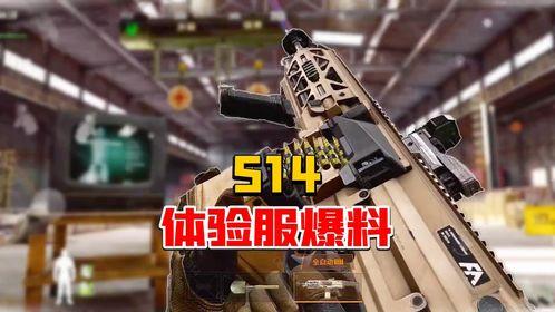 暗区最新体验服爆料,全新玩法与神秘元素抢先看