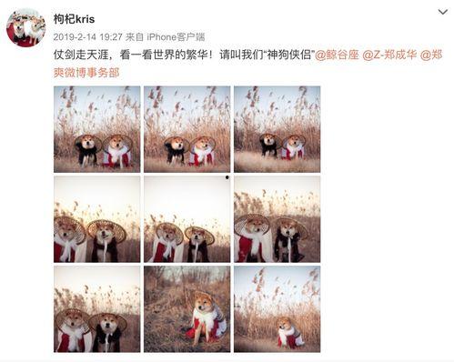 张恒最新爆料微博,揭秘娱乐圈惊人内幕！